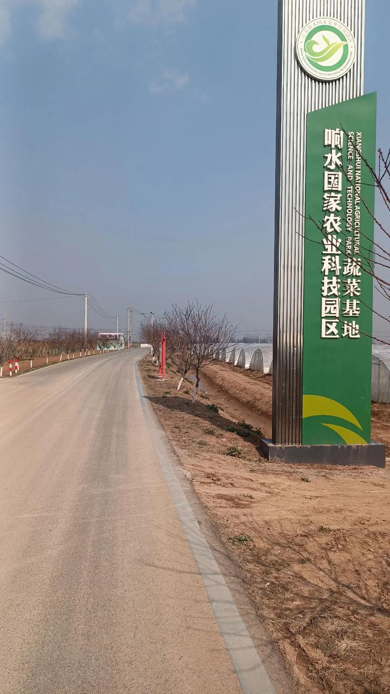 响水现代医院：引领卫生健康新篇章